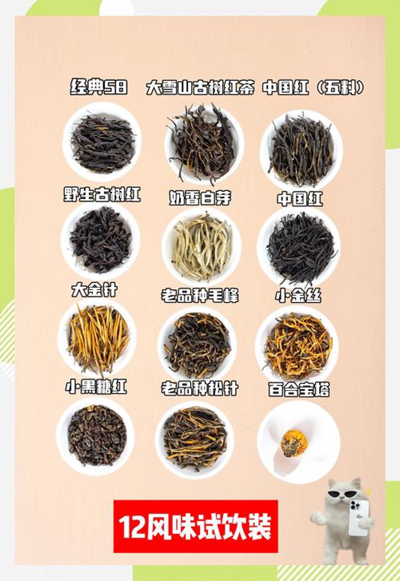 普洱茶批发：在时光中品味岁月的味道